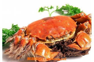 螃蟹死了还能吃吗 吃死螃蟹的危害与副作用