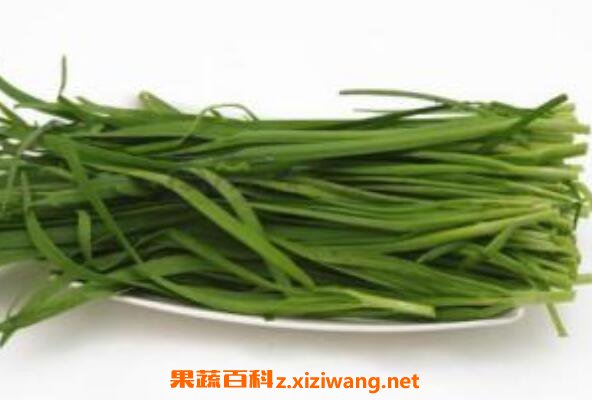 孕妇能吃韭菜吗 孕妇吃韭菜的好处和坏处