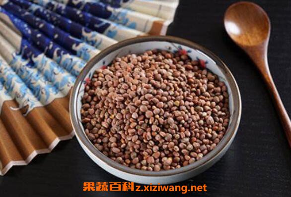 炒莱菔子的功效与作用有哪些