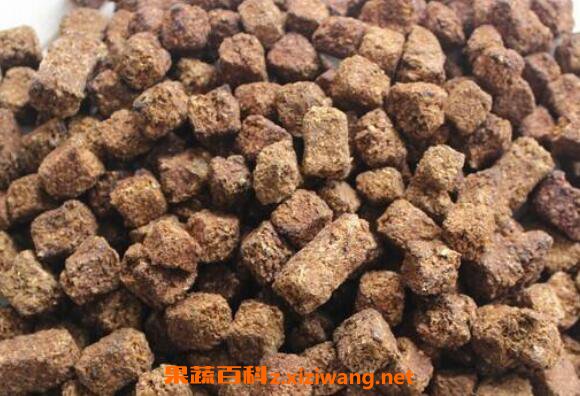 神曲的功效与作用及药用价值