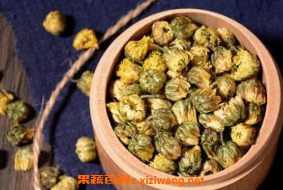 菊胎的功效与作用及禁忌