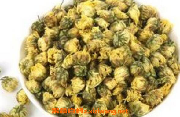 胎菊花的功效与作用