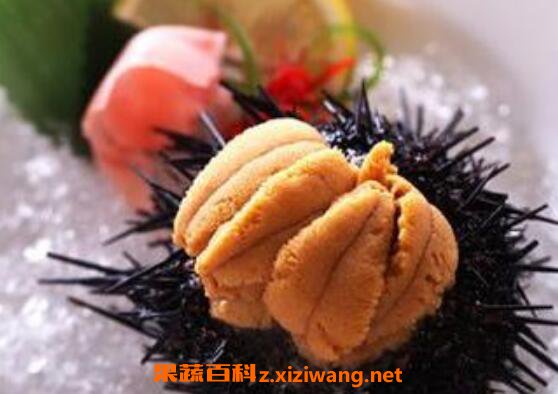 海胆怎么吃 海胆的吃法大全