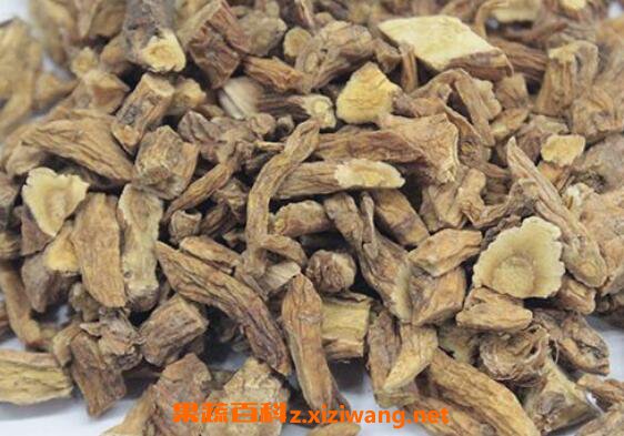 秦艽的功效与作用