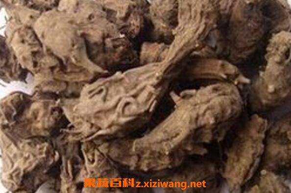 草乌的功效与作用 草乌的食疗用法