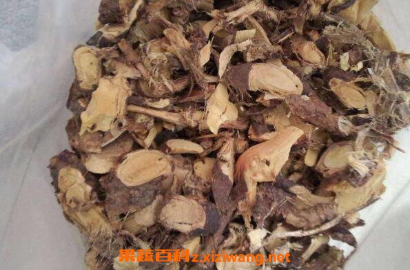金雀根的功效与作用及常见用法