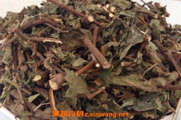 山甘草的功效与作用及药用价值
