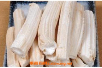 向日葵茎髓的功效与作用及药用价值