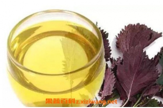 紫苏油的功效与作用