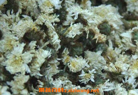 杭菊花怎么泡 杭菊花的正确冲泡方法