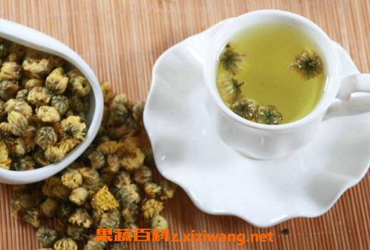 胎菊花茶怎么泡 胎菊花茶的功效