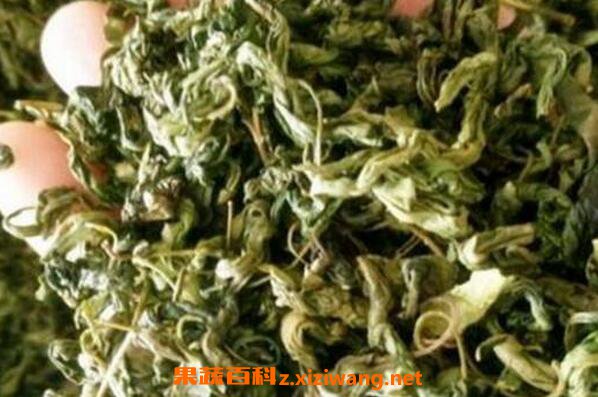 丁香茶的功效和作用及食用方法