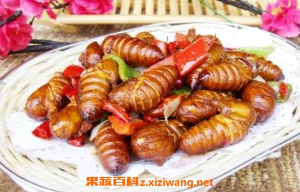 女性吃蚕蛹好处与坏处