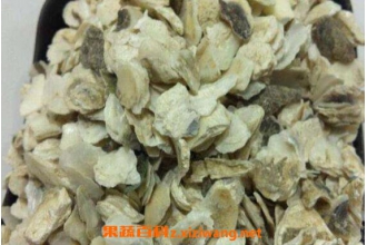 龙骨牡蛎的功效与作用