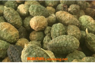 野西瓜泡酒的作用与功效