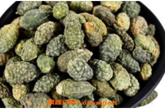 野西瓜的功效与作用 野西瓜的药用价值