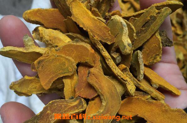 郁金的功效与作用 郁金的食疗用法