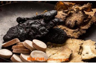 四物汤的功效与作用 四物汤的配方