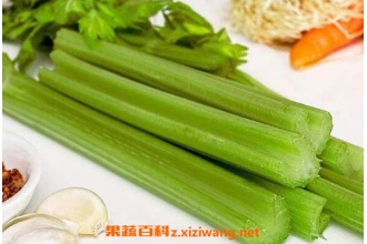 冬季吃什么菜好呢 适合冬季吃的食物大全