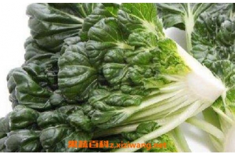 乌塌菜怎么吃 乌塌菜的家常做法