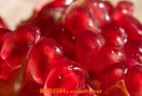 冰糖石榴水有什么功效