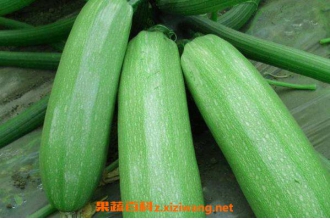 菜瓜的功效与作用 吃菜瓜的好处