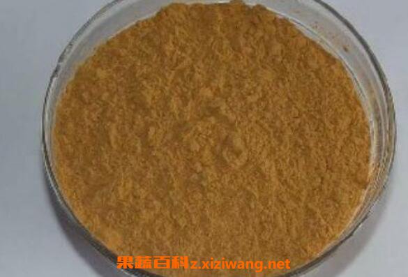 益母草粉的功效与作用及用法