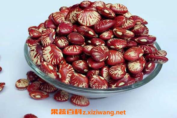 花芸豆的功效与作用