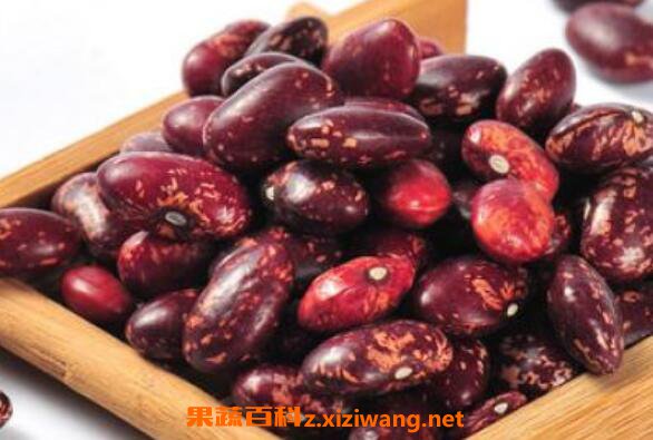 白芸豆和红芸豆的区别 芸豆怎么吃最好