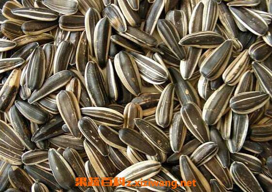 熟葵花籽的作用和功效