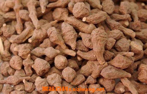 蕨麻的功效与作用 蕨麻的食用禁忌