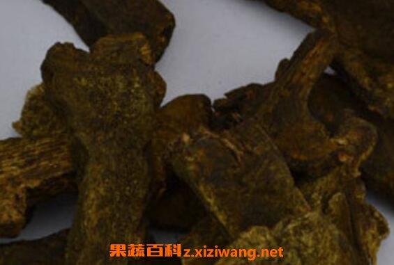 酒大黄的功效与作用 酒大黄的禁忌