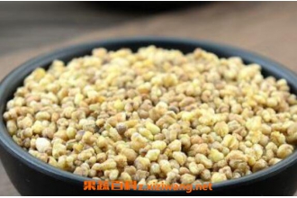 黄苦荞茶有什么作用 喝黄苦荞茶的功效与作用