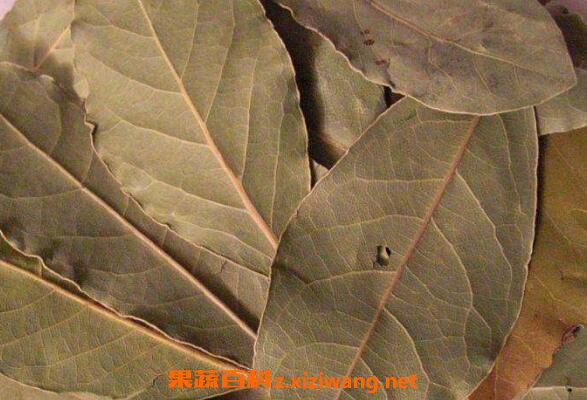 香叶的功效与作用 香叶的吃法