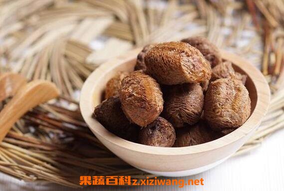 桑螵蛸的功效与作用及药用价值