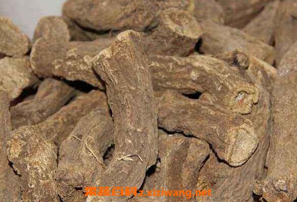 木香的功效与作用 木香的常见用法