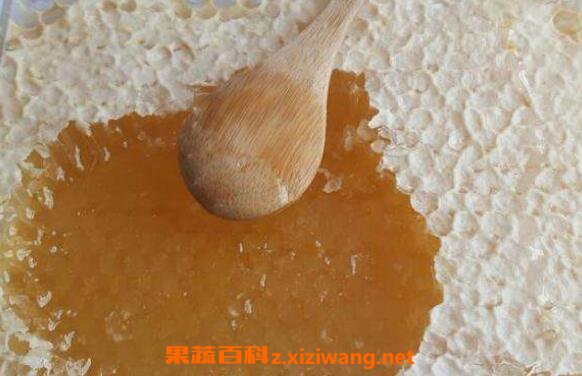 蜂窝煮水的作用与功效