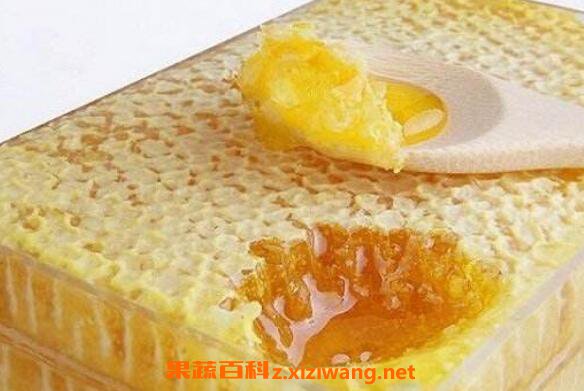 蜂巢蜜怎么吃 蜂巢蜜的正确吃法