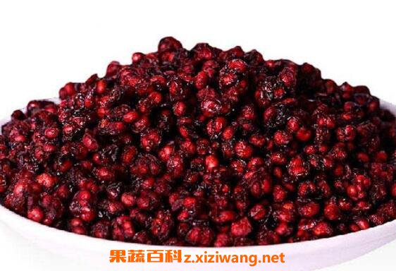 五味子的功效与作用 五味子的副作用