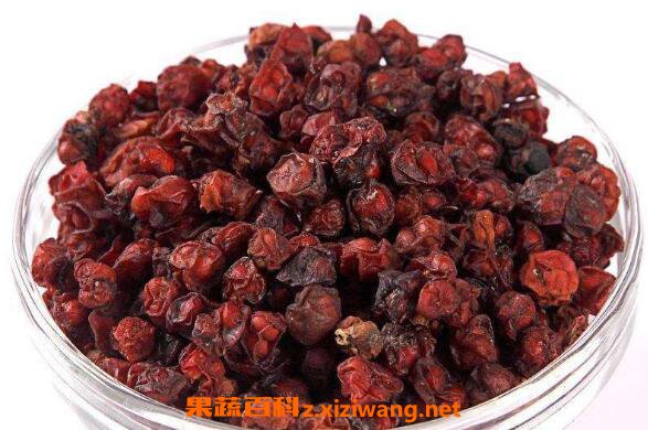 五味子的功效与作用 五味子的副作用