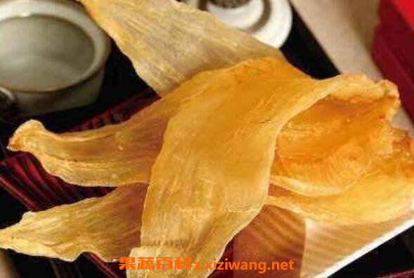 鱼胶的功效与作用 吃鱼胶的好处有哪些