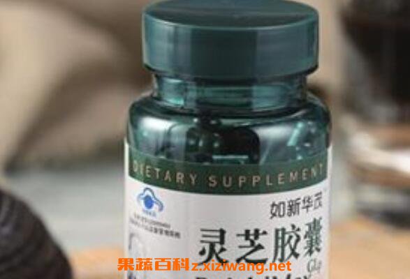 灵芝胶囊的功效与作用