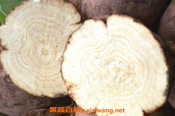 野葛根的作用与功效