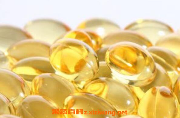 澳洲月见草油的功效与副作用