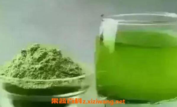 苜蓿酵素什么人不能喝 喝苜蓿酵素的危害