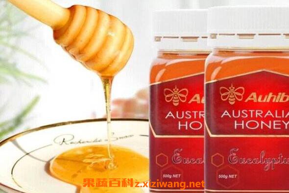 红桉树蜂蜜的功效与作用 红桉树蜂蜜怎么样