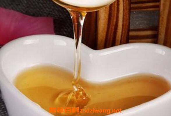 野坝子蜜的作用与功效及食用方法