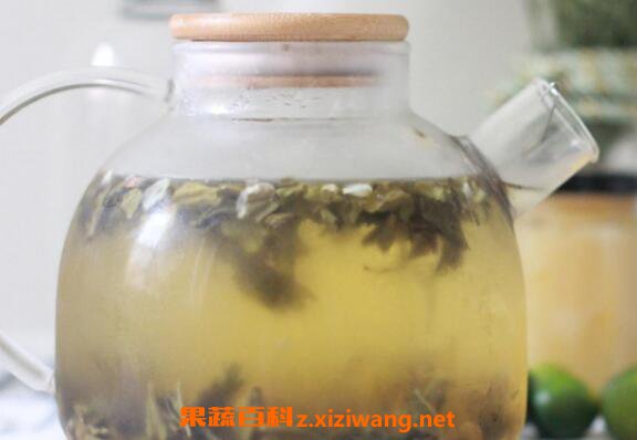冷泡茶怎么泡 冷泡茶是怎么做的