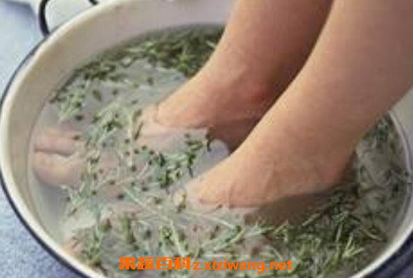 艾叶泡脚有什么好处与坏处