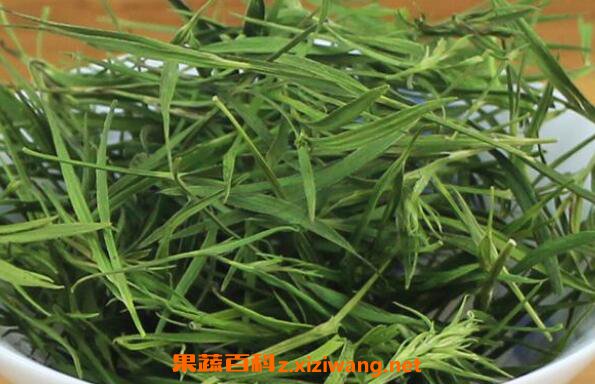 竹叶茶和什么配一起 喝竹叶茶有什么好处